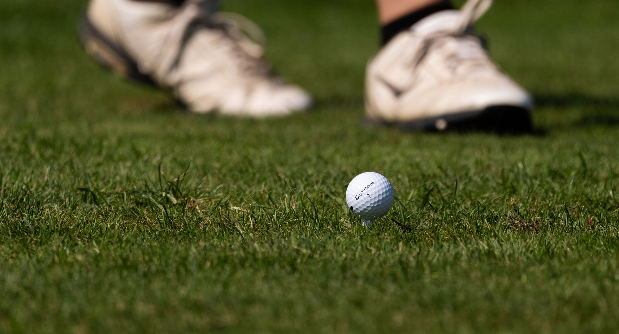 Golf ball